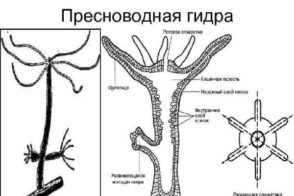 Блэкспрут ссылка тор bs2webes net