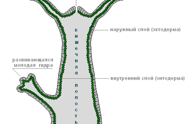 Blacksprut техподдержка